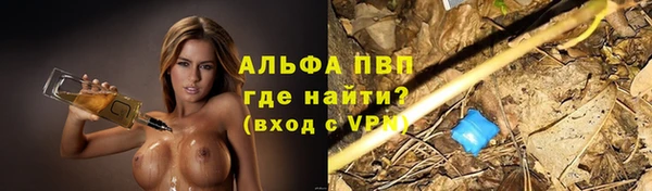 МДПВ Абаза