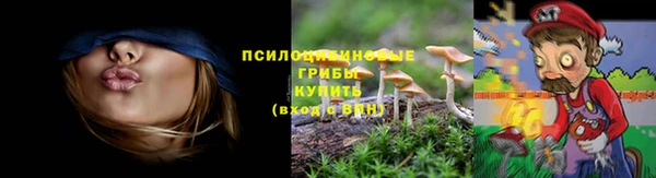 МДПВ Абаза